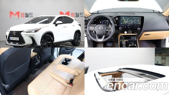 Lexus NX350h 2026 — Фото 19/19