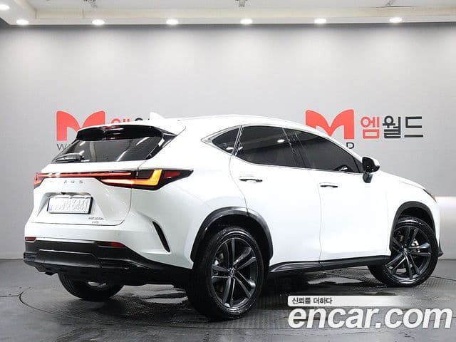 Lexus NX350h 2026 — Фото 2/19