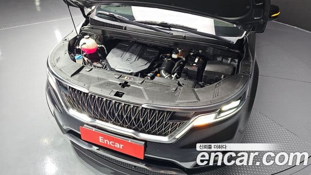 Kia Carnival 2020 — Фото 6/20