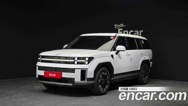 Hyundai Santa Fe 2024 — ფოტო 5/20