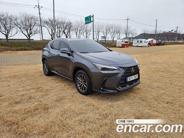 Lexus NX450h+ 2023 — ფოტო 7/20