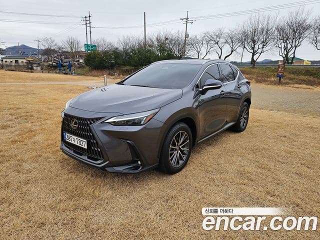 Lexus NX450h+ 2023 — ფოტო 10/20