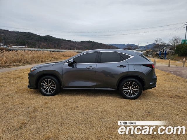 Lexus NX450h+ 2023 — ფოტო 5/20
