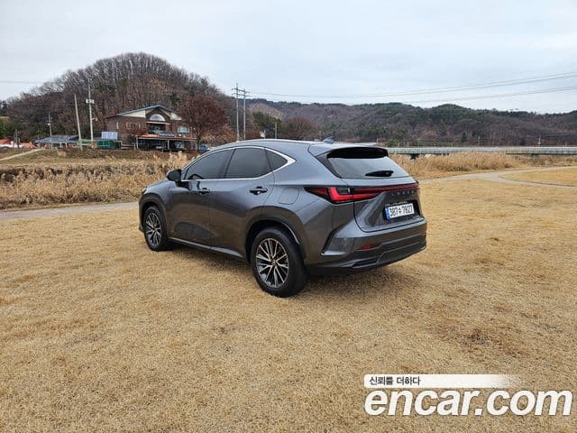 Lexus NX450h+ 2023 — ფოტო 13/20