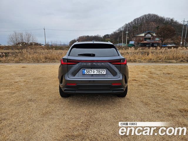 Lexus NX450h+ 2023 — ფოტო 2/20