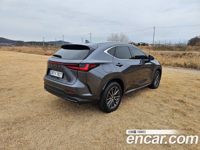 Lexus NX450h+ 2023 — ფოტო 8/20
