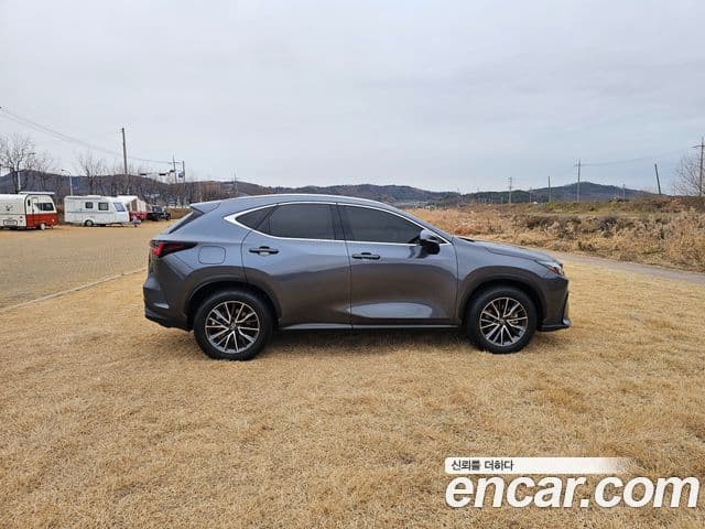 Lexus NX450h+ 2023 — ფოტო 14/20