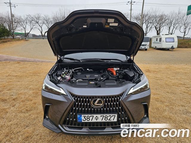 Lexus NX450h+ 2023 — ფოტო 6/20