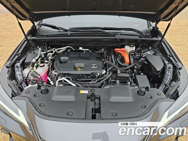 Lexus NX450h+ 2023 — ფოტო 3/20