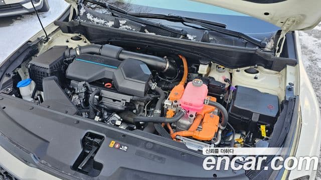 Kia Sportage 2021 — ფოტო 6/20