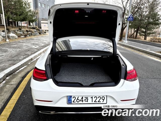 Mercedes-Benz CLS-Class 2019 — Şəkil 8/20