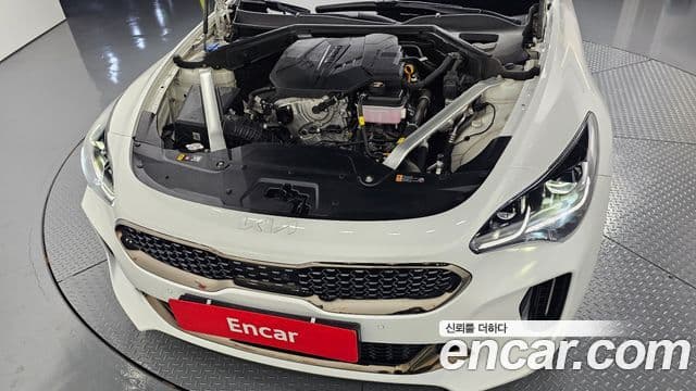 Kia Stinger 2022 — ფოტო 6/20