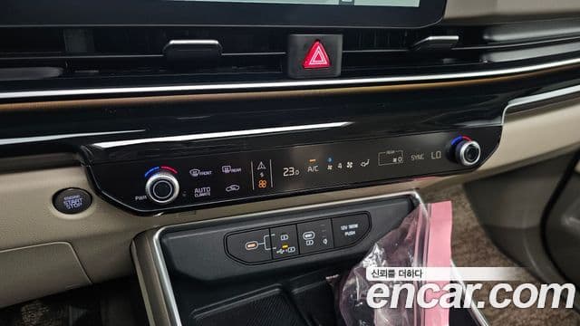 Kia Carnival 2024 — Şəkil 17/20