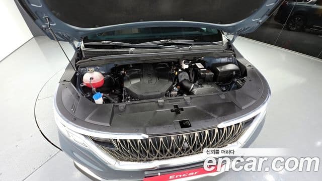 Kia Carnival 2021 — Фото 6/20
