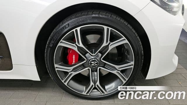 Kia Stinger 2018 — ფოტო 5/20