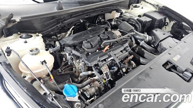 Kia Sportage 2022 — ფოტო 6/20