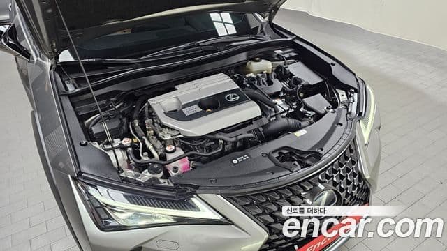 Lexus UX250h 2020 — Photo 3/20