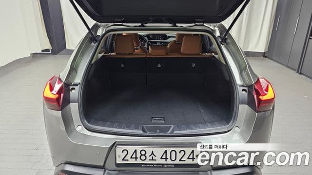 Lexus UX250h 2020 — Photo 7/20