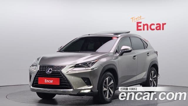 Lexus NX300h 2018 — ფოტო 1/20