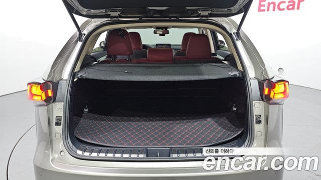 Lexus NX300h 2018 — фото 20 из 20