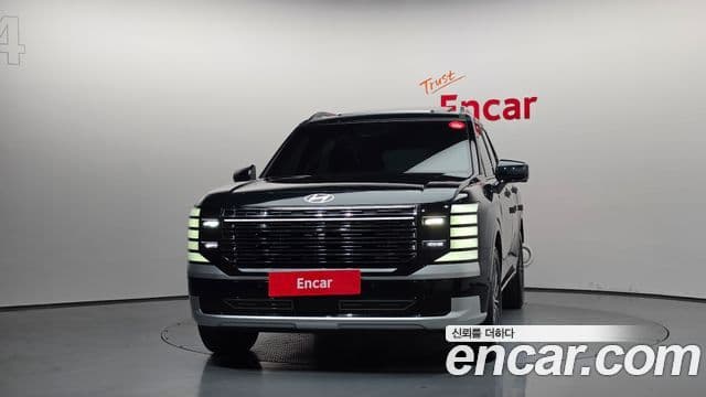 Hyundai Palisade 2025 — ფოტო 14/20