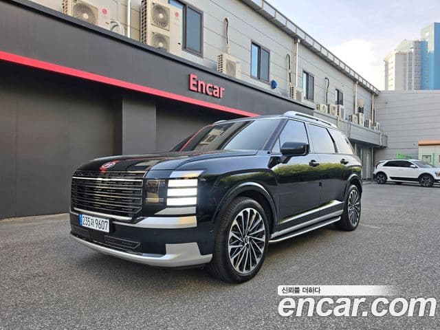 Hyundai Palisade 2025 — ფოტო 20/20