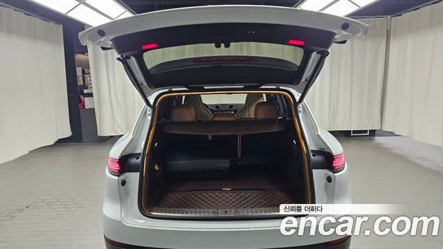Porsche Cayenne 2019 — ფოტო 18/20