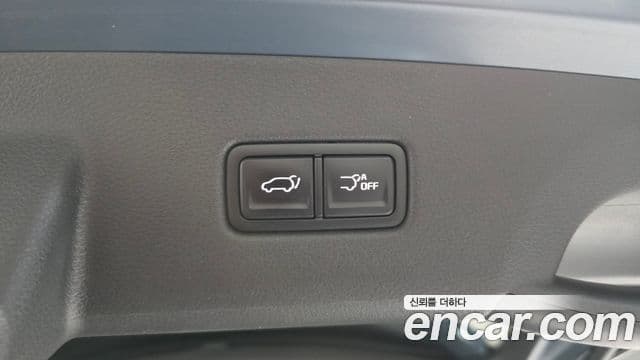 Kia Carnival 2021 — ფოტო 20/20
