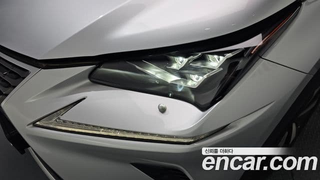 Lexus NX300h 2018 — Photo 31/31
