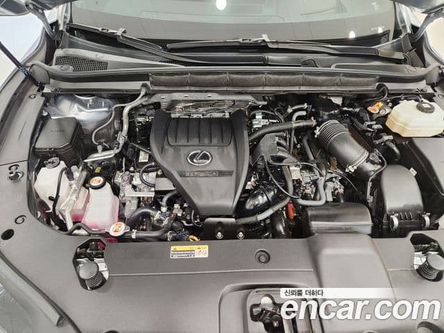Lexus RX500h 2024 — ფოტო 6/15