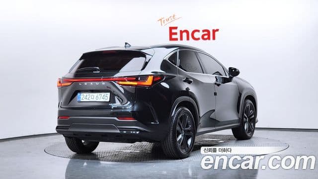 Lexus NX350h 2025 — Şəkil 2/20