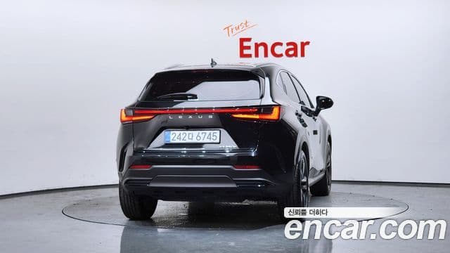 Lexus NX350h 2025 — Şəkil 4/20