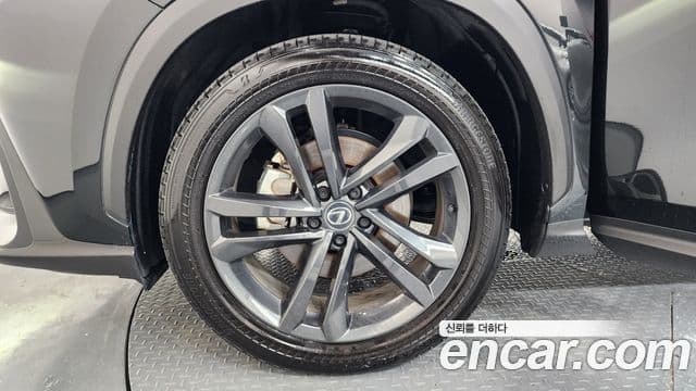 Lexus NX350h 2025 — Şəkil 5/20