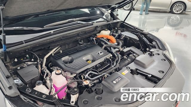 Lexus NX350h 2025 — Şəkil 6/20