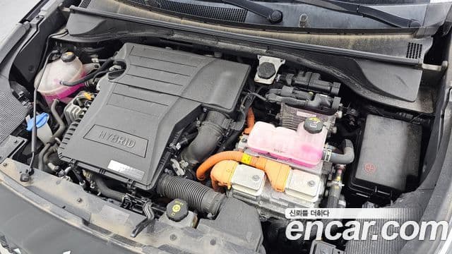 Kia Niro 2021 — Şəkil 6/20
