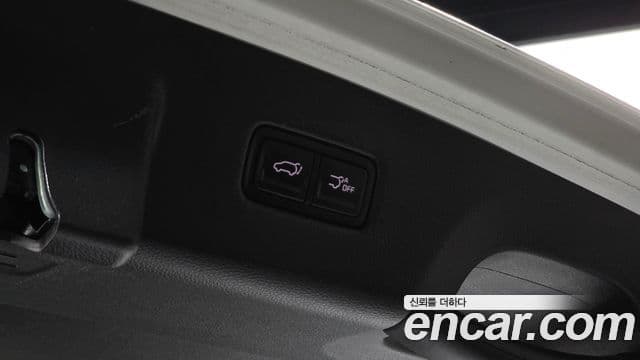 Kia Carnival 2022 — ფოტო 20/20
