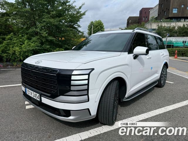 Hyundai Palisade 2025 — ფოტო 20/20