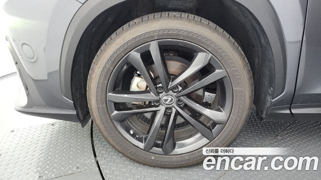 Lexus NX350h 2022 — ფოტო 5/20