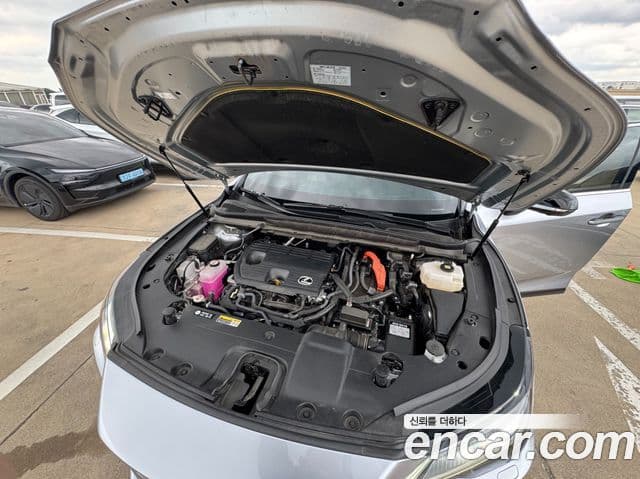 Lexus RX350h 2025 — ფოტო 5/20
