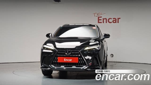 Lexus NX350h 2025 — Photo 28/34