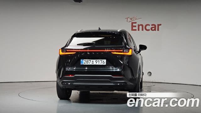 Lexus NX350h 2025 — Photo 32/34