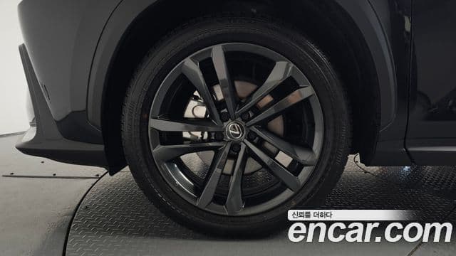 Lexus NX350h 2025 — Photo 29/34
