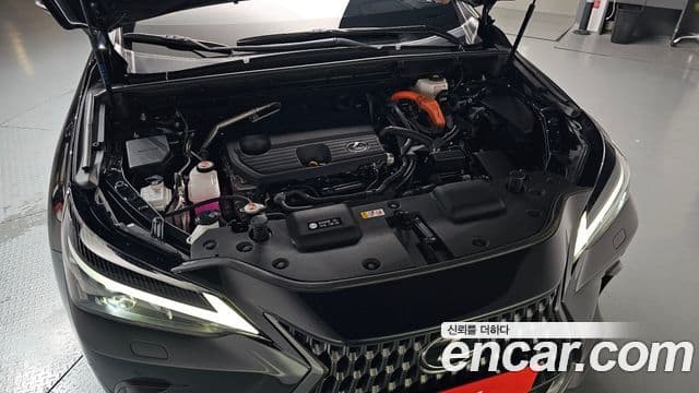 Lexus NX350h 2025 — Photo 27/34