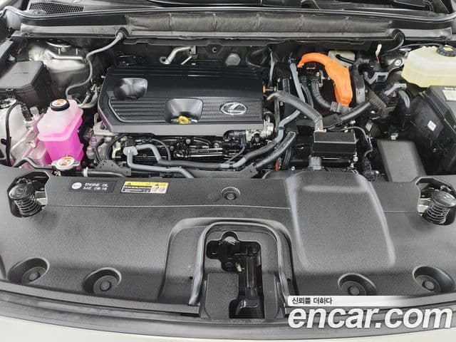 Lexus RX350h 2025 — Photo 4/20