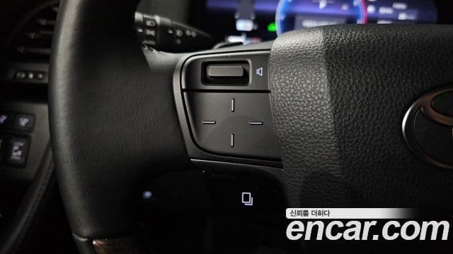 Toyota Alphard 2025 — ფოტო 10/38