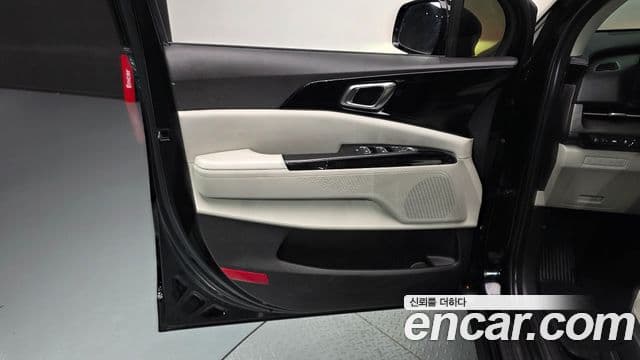 Kia Carnival 2020 — ფოტო 28/31