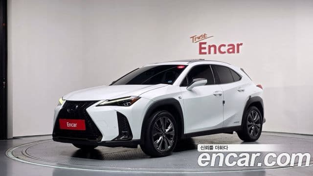 Lexus UX250h 2020 — Photo 15/32