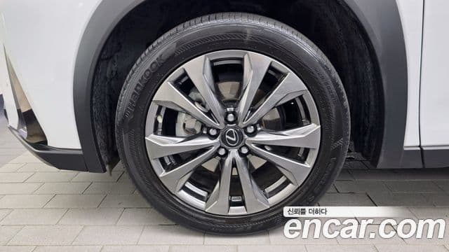 Lexus UX250h 2020 — Photo 28/32