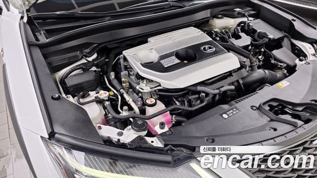 Lexus UX250h 2020 — Photo 5/32