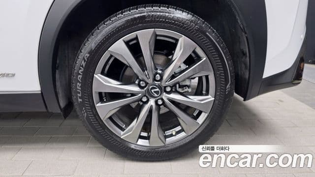 Lexus UX250h 2020 — Photo 24/32